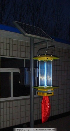 夜幕下的守光者 太阳能杀虫灯如何点亮绿色农田
